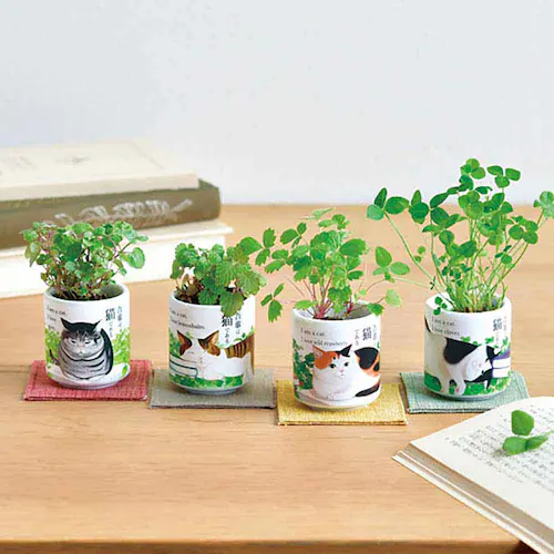 【4種セット】お芽でたおちょこ 吾輩猫(ミント・レモンバーム・ワイルドストロベリー・クローバー) 【プラザセレクト】_2