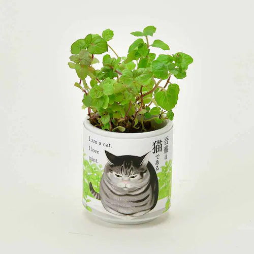 【4種セット】お芽でたおちょこ 吾輩猫(ミント・レモンバーム・ワイルドストロベリー・クローバー) 【プラザセレクト】_3