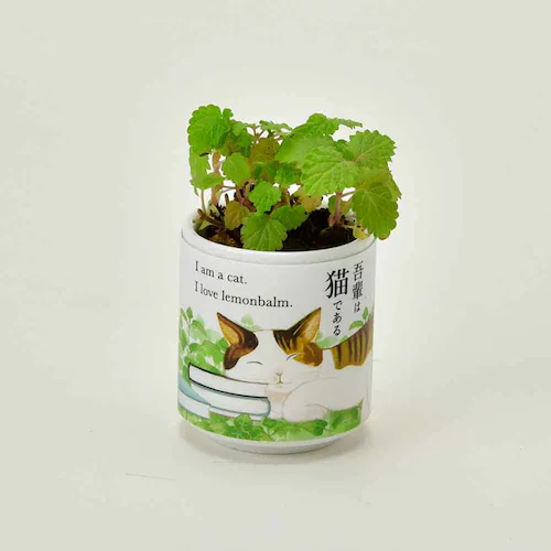 【4種セット】お芽でたおちょこ 吾輩猫(ミント・レモンバーム・ワイルドストロベリー・クローバー) 【プラザセレクト】_4
