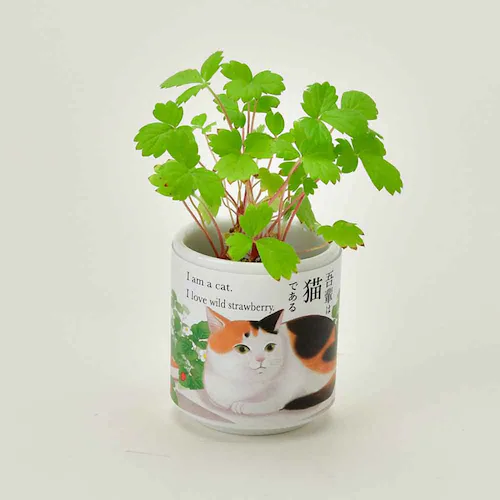 【4種セット】お芽でたおちょこ 吾輩猫(ミント・レモンバーム・ワイルドストロベリー・クローバー) 【プラザセレクト】_5