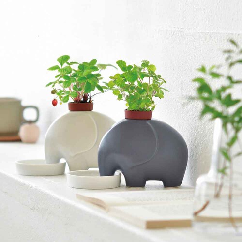 �G���v�����g GD-95501 �O���[/�A�b�v���~���g�y�v���U�Z���N�g�z_2