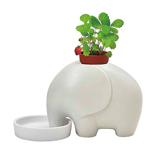 �G���v�����g GD-95501 �O���[/�A�b�v���~���g�y�v���U�Z���N�g�z_7