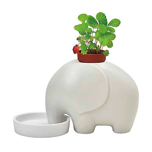 【2種セット】エレプラント エレプラント_7