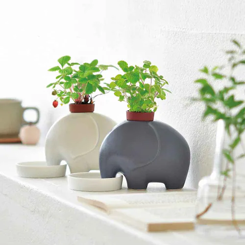 【5種セット】アニマルプラント(エレプラント2種・ヒポポプラント2種・ポーラーベア) 【プラザセレクト】_2