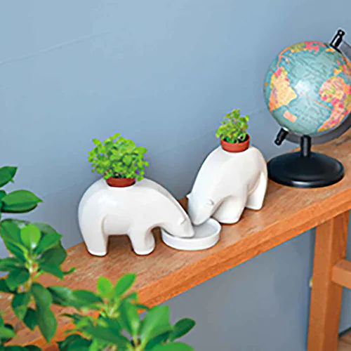 【5種セット】アニマルプラント(エレプラント2種・ヒポポプラント2種・ポーラーベア) 【プラザセレクト】_3