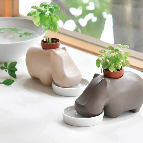 【5種セット】アニマルプラント(エレプラント2種・ヒポポプラント2種・ポーラーベア) 【プラザセレクト】_4