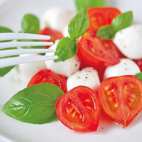 ハートマト栽培キット GD-1032 【プラザセレクト】_5