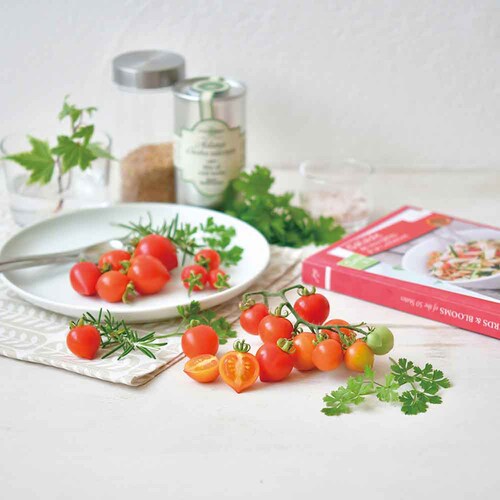 ハートマト栽培キット GD-1032 【プラザセレクト】_6