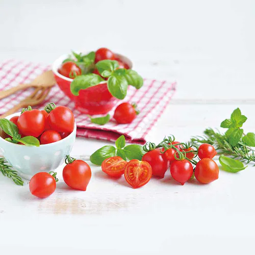 ハートマト栽培キット GD-1032 【プラザセレクト】_7