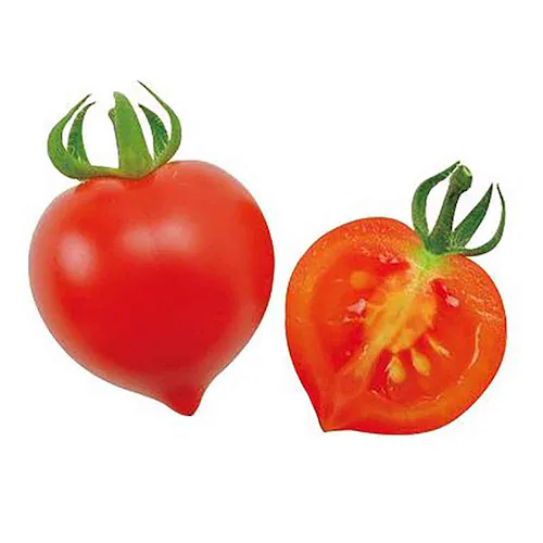 ハートマト栽培キット GD-1032 【プラザセレクト】_14