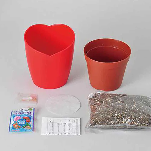 ハートマト栽培キット GD-1032 【プラザセレクト】_16