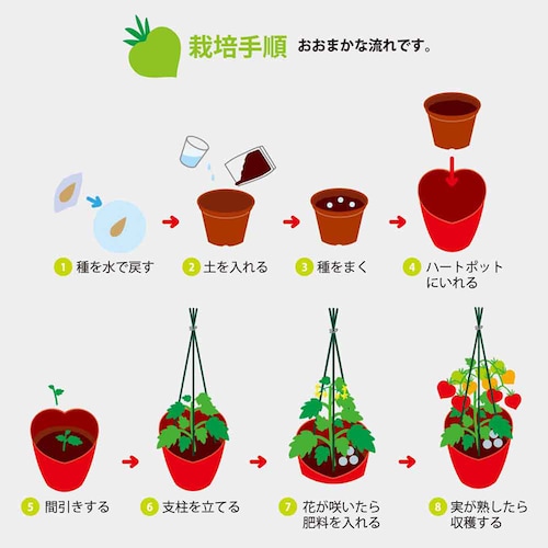 ハートマト栽培キット GD-1032 【プラザセレクト】_17