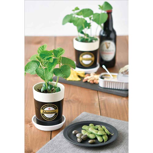 ��Ă邦�����͔|�Z�b�g GD-995 ���������y�v���U�Z���N�g�z_3