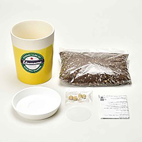 ��Ă邦�����͔|�Z�b�g GD-995 ���������y�v���U�Z���N�g�z_7