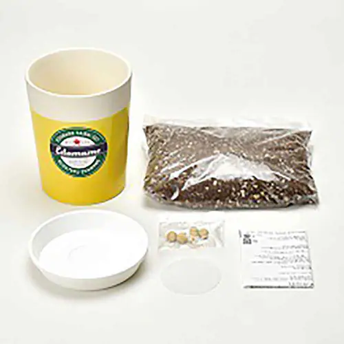 �y2��Z�b�g�z��Ă邦�����͔|�Z�b�g�i�������E���������j �y�v���U�Z���N�g�z_7