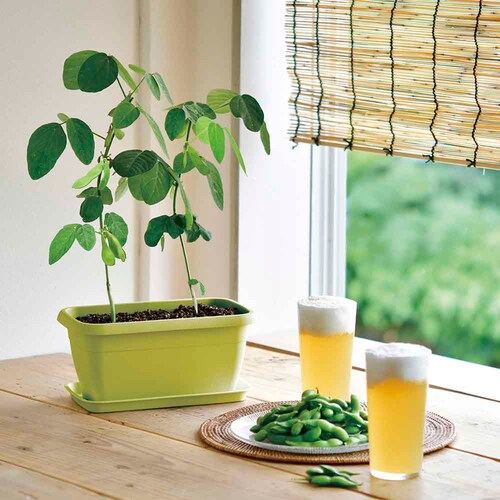 �G���W���C�v�����^�[ GD-93201 �~�j�q�}�����y�v���U�Z���N�g�z_3