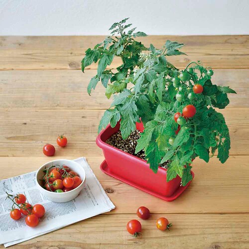 �G���W���C�v�����^�[ GD-93201 �~�j�q�}�����y�v���U�Z���N�g�z_4