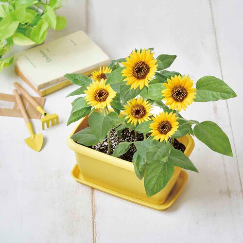 �G���W���C�v�����^�[ GD-93201 �~�j�q�}�����y�v���U�Z���N�g�z_5