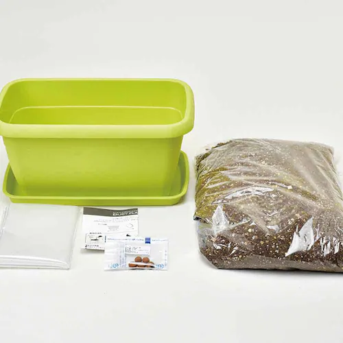 �y4��Z�b�g�z�G���W���C�v�����^�[�i�C�`�S�E�����܂߁E�~�j�g�}�g�E�~�j�q�}�����j �y�v���U�Z���N�g�z_6