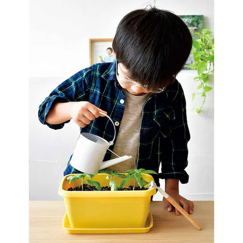 �y4��Z�b�g�z�G���W���C�v�����^�[�i�C�`�S�E�����܂߁E�~�j�g�}�g�E�~�j�q�}�����j �y�v���U�Z���N�g�z_8