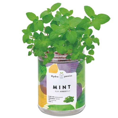 �O���[���y�b�g GD-100201 �~���g_4