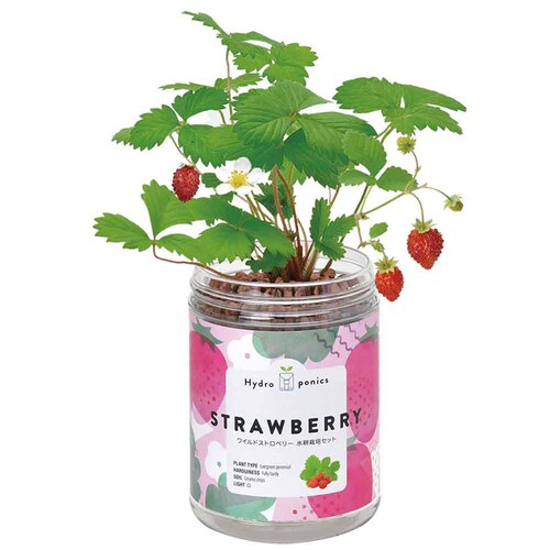 �O���[���y�b�g GD-100201 �~���g_6