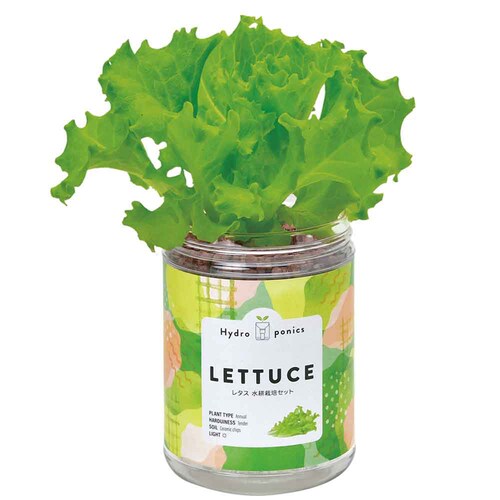 �O���[���y�b�g GD-100201 �~���g_7