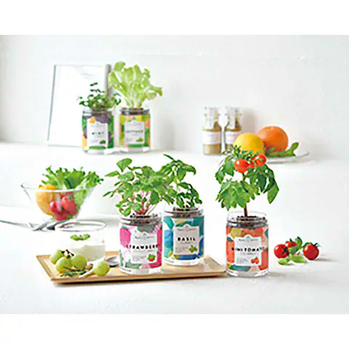 �y5��Z�b�g�z�O���[���y�b�g�i�~���g�E�o�W���E���C���h�X�g���x���[�E���^�X�E�~�j�g�}�g�j �y�v���U�Z���N�g�z_2