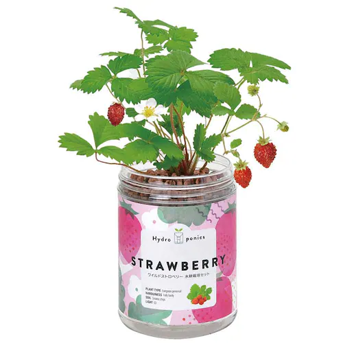 �y5��Z�b�g�z�O���[���y�b�g�i�~���g�E�o�W���E���C���h�X�g���x���[�E���^�X�E�~�j�g�}�g�j �y�v���U�Z���N�g�z_6