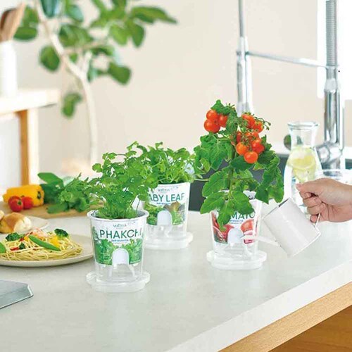 �t���b�V���t�B�[�� GD-81902 �T���_�z�E�����\�E�y�v���U�Z���N�g�z_2