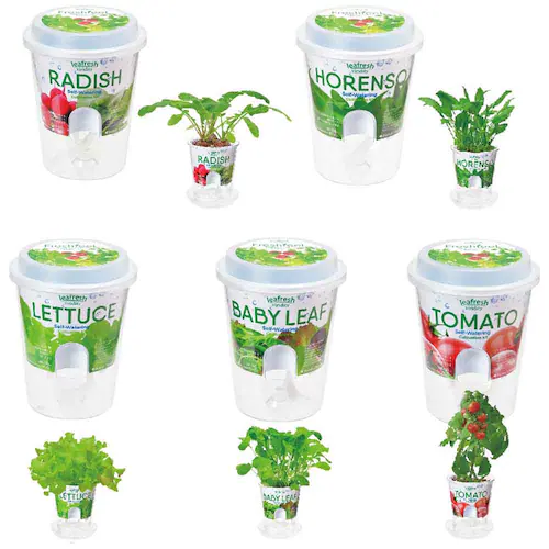 �t���b�V���t�B�[�� GD-81902 �T���_�z�E�����\�E�y�v���U�Z���N�g�z_4