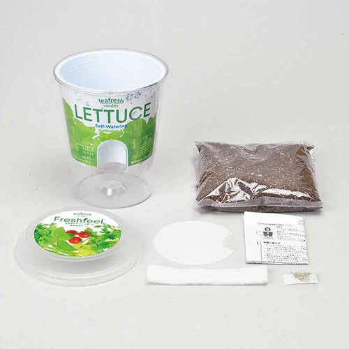 �t���b�V���t�B�[�� GD-81902 �T���_�z�E�����\�E�y�v���U�Z���N�g�z_5