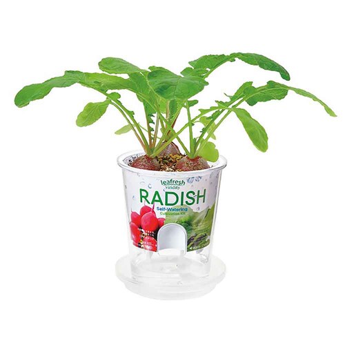 �t���b�V���t�B�[�� GD-81902 �T���_�z�E�����\�E�y�v���U�Z���N�g�z_6