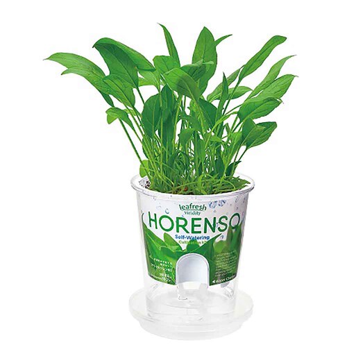 �t���b�V���t�B�[�� GD-81902 �T���_�z�E�����\�E�y�v���U�Z���N�g�z_7