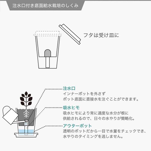 �t���b�V���t�B�[�� GD-81902 �T���_�z�E�����\�E�y�v���U�Z���N�g�z_11