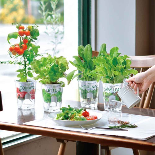 �y5��Z�b�g�z�t���b�V���t�B�[���i���f�B�b�V���E�T���_�z�E�����\�E�E���^�X�E�x�r�[���[�t�~�b�N�X�E�~�j�g�}�g�j �y�v���U�Z���N�g�z_3