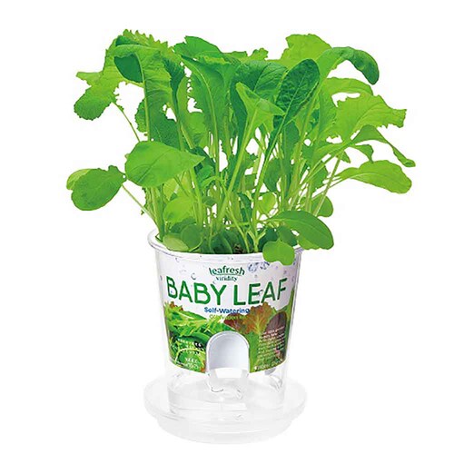 �y5��Z�b�g�z�t���b�V���t�B�[���i���f�B�b�V���E�T���_�z�E�����\�E�E���^�X�E�x�r�[���[�t�~�b�N�X�E�~�j�g�}�g�j �y�v���U�Z���N�g�z_9