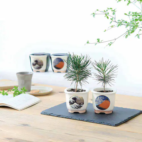 JAPANESE BONSAI �� GD-64003 �g�x�m�y�v���U�Z���N�g�z_4