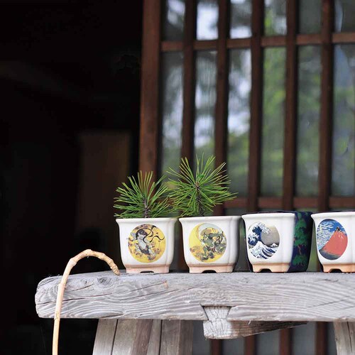 �y4��Z�b�g�zJAPANESE BONSAI ���i�g�x�m�E�ԕx�m�E���L�E�x�m�ƔL�j �y�v���U�Z���N�g�z_6