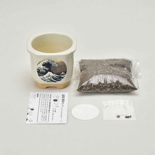 �y4��Z�b�g�zJAPANESE BONSAI ���i�g�x�m�E�ԕx�m�E���L�E�x�m�ƔL�j �y�v���U�Z���N�g�z_8