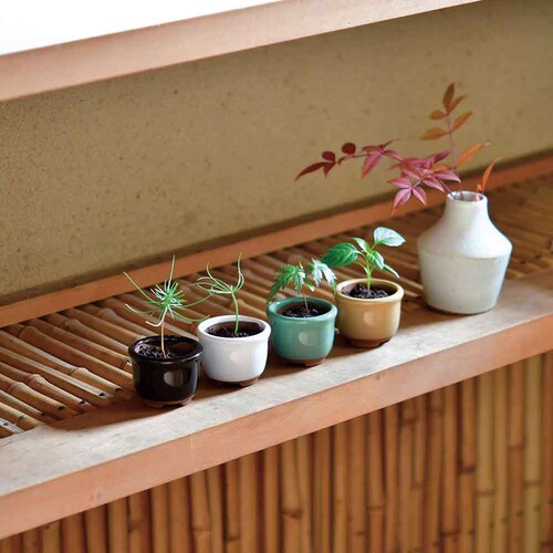 HACO MAME �~�͍͔|�Z�b�g GD-96501 �����y�v���U�Z���N�g�z_2