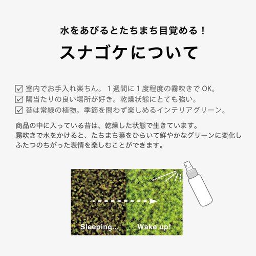 ���~�i KAWARA-BONKEI GD-1010 �y�v���U�Z���N�g�z_3