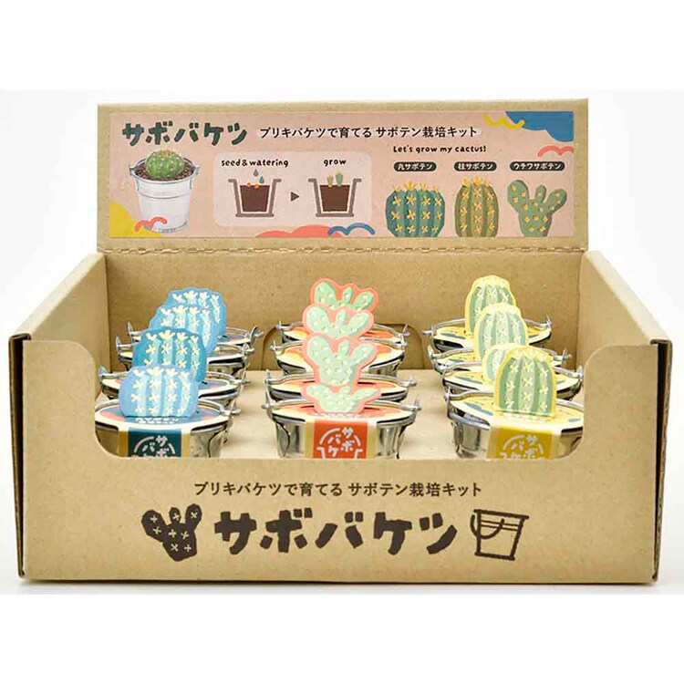3種セット】サボバケツ栽培キット（丸サボテン・柱サボテン・ウチワ