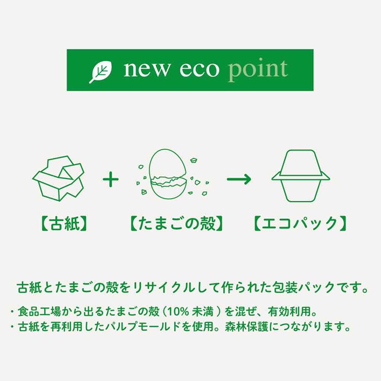 エッグリング エコ EG-6001 ミント【プラザセレクト】 7290141