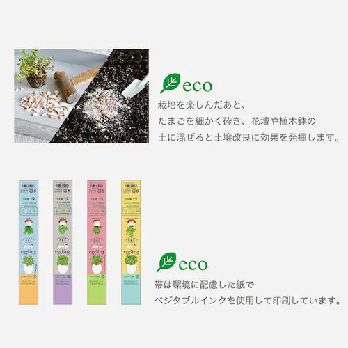 �y4��Z�b�g�z�G�b�O�����O �G�R�i�~���g�E�o�W���E���C���h�X�g���x���[�E�l�t�̃N���[�o�[�j �y�v���U�Z���N�g�z_7