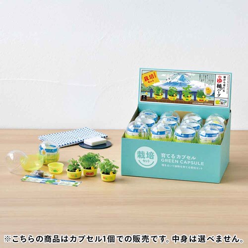 ��Ă�J�v�Z�� �䉱�Ńn�[�u�͔| GD-1035 �y�v���U�Z���N�g�z_2