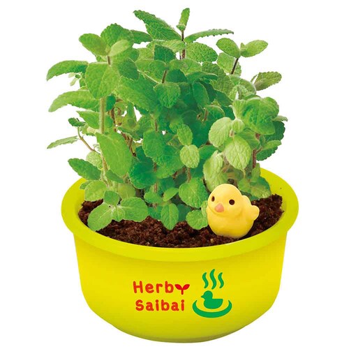 ��Ă�J�v�Z�� �䉱�Ńn�[�u�͔| GD-1035 �y�v���U�Z���N�g�z_5