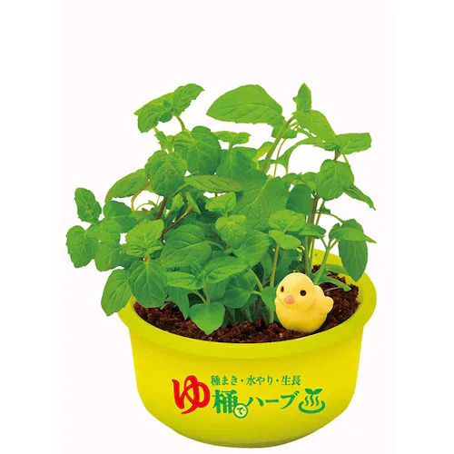 ��Ă�J�v�Z�� �䉱�Ńn�[�u�͔| GD-1035 �y�v���U�Z���N�g�z_7