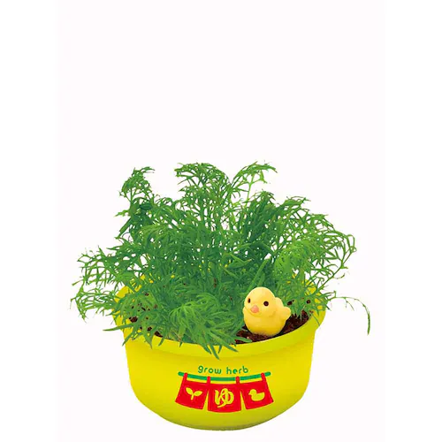 �y4�Z�b�g�z��Ă�J�v�Z�� �䉱�Ńn�[�u�͔| �y�v���U�Z���N�g�z_4