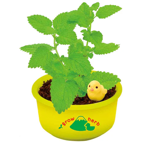 �y4�Z�b�g�z��Ă�J�v�Z�� �䉱�Ńn�[�u�͔| �y�v���U�Z���N�g�z_6